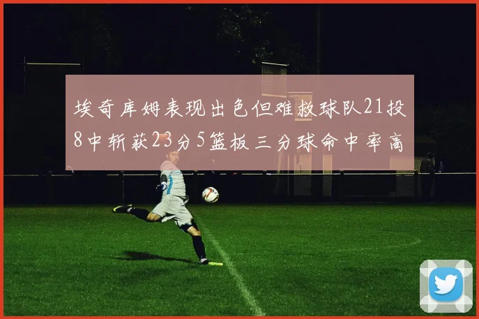 埃奇库姆表现出色但难救球队21投8中斩获23分5篮板三分球命中率高达45